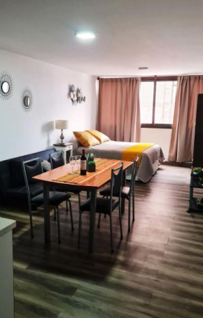 Departamento monoambiente, a metros de Peatonal Sarmiento